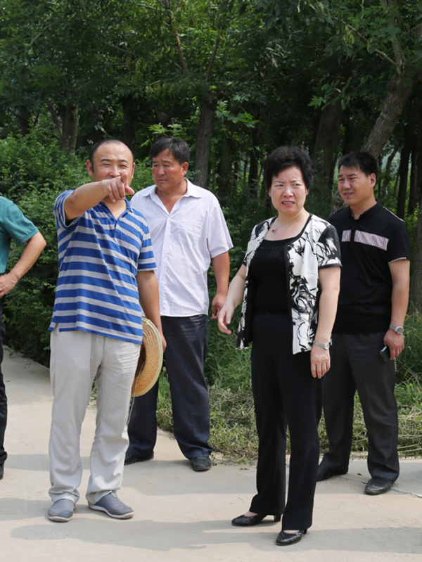 龍山鎮黨委到我公司苗圃調研